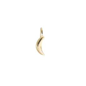 14K SOLID GOLD - DREAM LUNA NAMESAKE CHARM