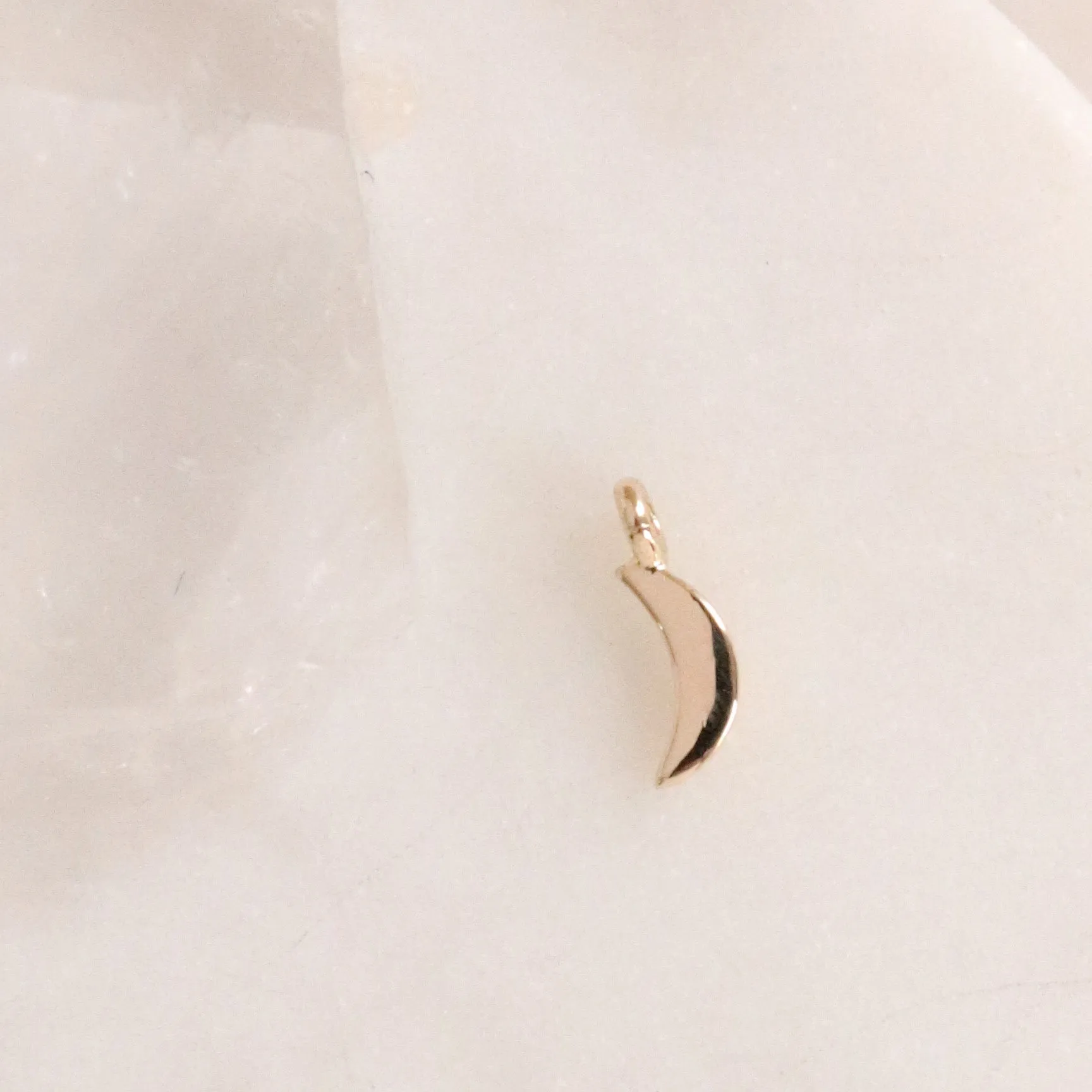 14K SOLID GOLD - DREAM LUNA NAMESAKE CHARM