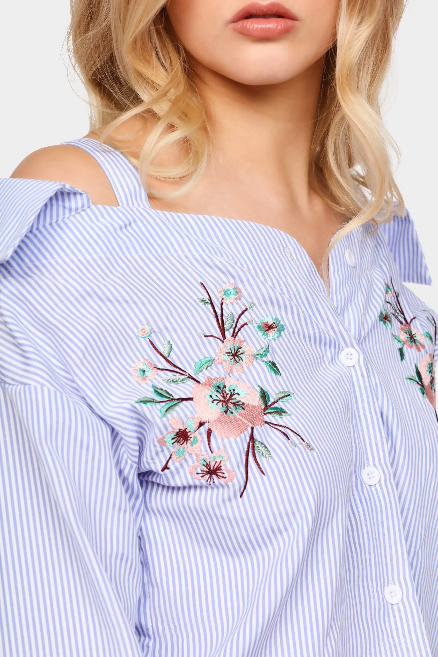 Blue/White Stripe Embroidered Shirt Top