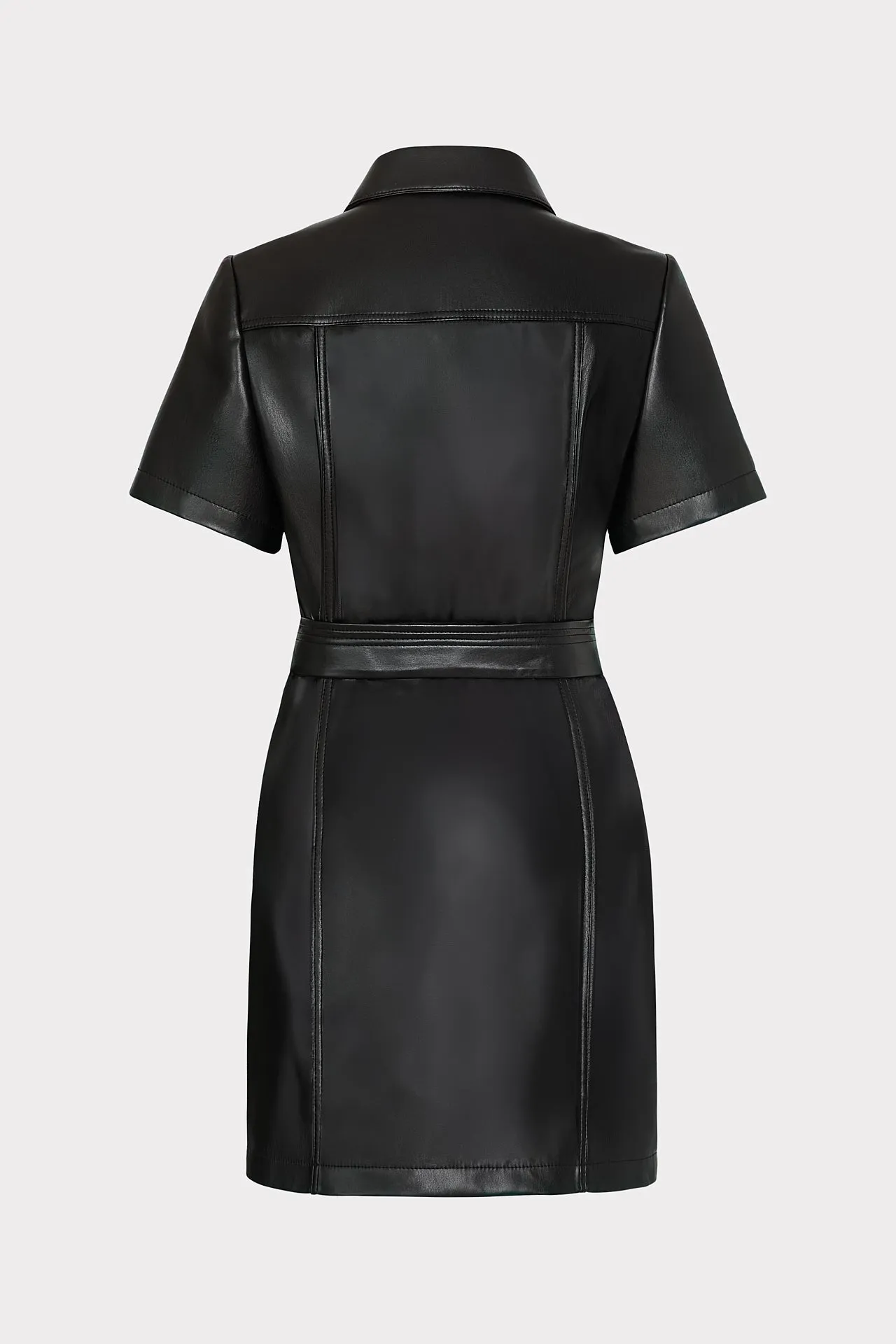 Haven Vegan Leather Mini Dress